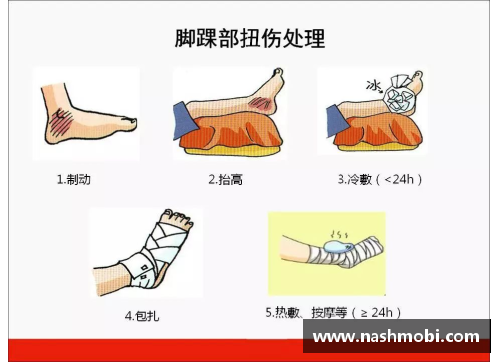 九游会集团官方网站球员跟腱研究：解剖、功能与运动损伤的探索